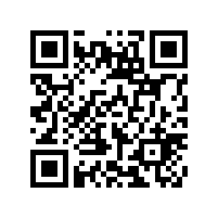 伊朗客户参观87978797威尼斯轮式挖掘机厂家