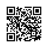 浙江客人来皖南电机参观