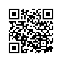 怎么看老普洱茶的年龄？