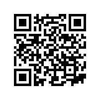 怎么样存储Fag轴承？