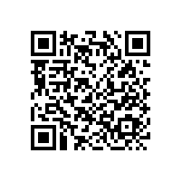 按照ISO9001要求持續(xù)提升基礎(chǔ)管理是銀箭鋁銀漿制勝法寶