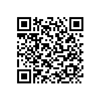 您對它真的了解嗎？銀箭漂浮型鋁銀漿,Yes or no?