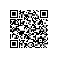 業(yè)內(nèi)規(guī)模的銀箭鋁銀漿開啟二次創(chuàng)業(yè),仍需銷售先行