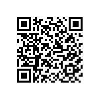 真空除泡机的工作原理是怎样的?