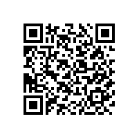 在线脱泡机：解密高效去泡技术