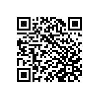 促进和规范电子单证应用规定