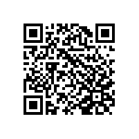 《裁量基准》中所称的“虚开金额”、“非法代开金额”、“发票金额”具体是指什么数额