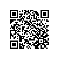 电子发票上没有发票专用章可以使用吗