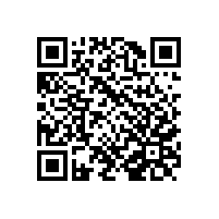 关于加强新就业群体服务管理的意见