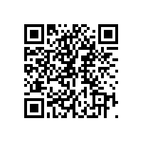 两个子女中的一个无赡养父母的能力，是否可以由另一个享受3000元赡养老人专项附加扣除标准