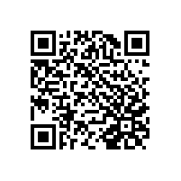 自然人在什么情形下可以适用10号公告第一条规定的以一个月为一个计税期间的起征点标准