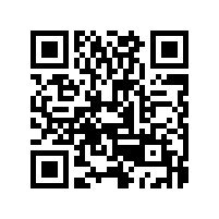 10点告诉你为什么安装汽车音响喇叭要加保险！！