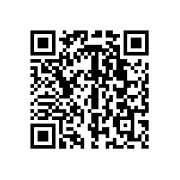 天花喇叭/墙壁喇叭到底长什么样的?