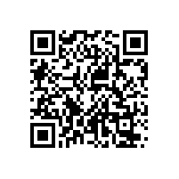 喇叭音箱分频器-音箱分频器简介