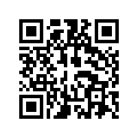国内电动车声浪装置市场是否是一片蓝海？