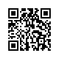 蓝牙音响喇叭的内部结构以及华司的作用