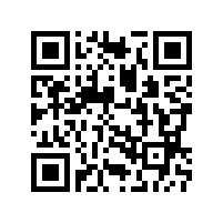 汽车音箱喇叭按性能和用途分类