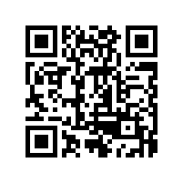 新能源汽车改装声浪喇叭装置方案