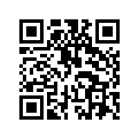 扬声器喇叭的阻抗声音的表现