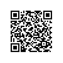二葉羅茨風(fēng)機(jī)轉(zhuǎn)數(shù)（速）是多少？