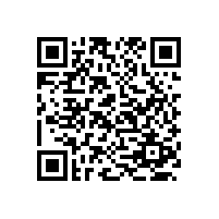 羅茨風(fēng)機出風(fēng)口110口徑有這種的嗎？沒有怎么辦？