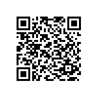 羅茨風(fēng)機(jī)的風(fēng)壓不夠是什么原因造成的？