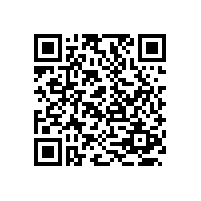 羅茨風(fēng)機(jī)能輸送石子嗎？