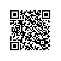 精細(xì)工藝打造的小青瓦