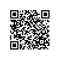 火辣7月銀箭鋁銀漿ZNA-110熱銷阿聯(lián)酋