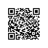 山東銀箭鋁銀漿仿電鍍系列鋁銀漿你了解多少?