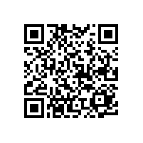 按照ISO9001要求持續(xù)提升基礎(chǔ)管理是銀箭鋁銀漿制勝法寶