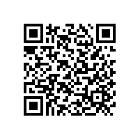 凸輪轉(zhuǎn)子泵機(jī)械密封出現(xiàn)問(wèn)題？解決方法在這里
