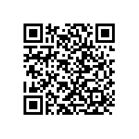 上海申江除了儲(chǔ)氣罐還有其他銷售業(yè)務(wù)嗎？