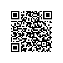 （安防資質）廣州公安局技防辦關于應對疫情期間調整部分資質受理條件的通知