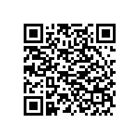 廣東申報能力評估CS認證的企業(yè)可以讓北京塞西來審核評估嗎？