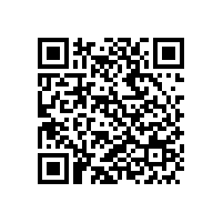 軟件安全開發(fā)服務(wù)資質(zhì)是評(píng)價(jià)什么內(nèi)容？有幾級(jí)？