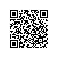 佛山市順德區(qū)民營保安企業(yè)可持續(xù)發(fā)展建設(shè)