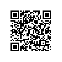 竊賊，你當東莞中堂保安公司的保安是擺設嗎？