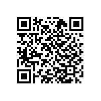 阿克斯敏斯特地毯發(fā)展及特性