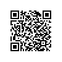 地毯知識——辦公室地毯清理小竅門