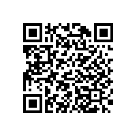 鉆石地毯經(jīng)典案例-桐鄉(xiāng)振石大酒店