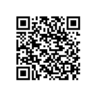 東莞茶山到湛江物流專線直達(dá)快運(yùn)13790665977