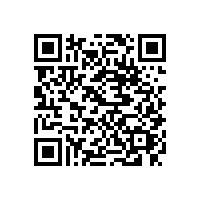 東莞東城到南寧物流專線公司鷹航物流139225142277