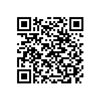 東莞大朗到廣東湛江市物流專線鷹航13922514227