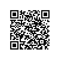 東莞大嶺山直達(dá)湛江物流往返專線13790665977