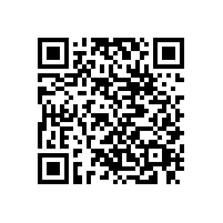 東莞到湛江物流專線厚街物流公司13790665977