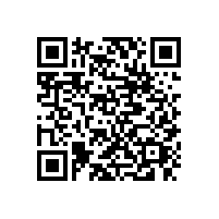 東莞到湛江物流專線中堂物流公司13790665977