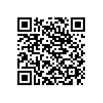 東莞莞城到湛江廉江物流專線公司電話13922514227
