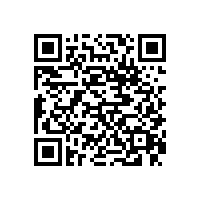 東莞黃江到上海物流專線公司鷹航物流13922514227