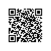 東莞厚街到湛江霞山區(qū)直達(dá)專(zhuān)線運(yùn)輸